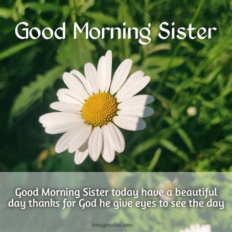 good morning sister